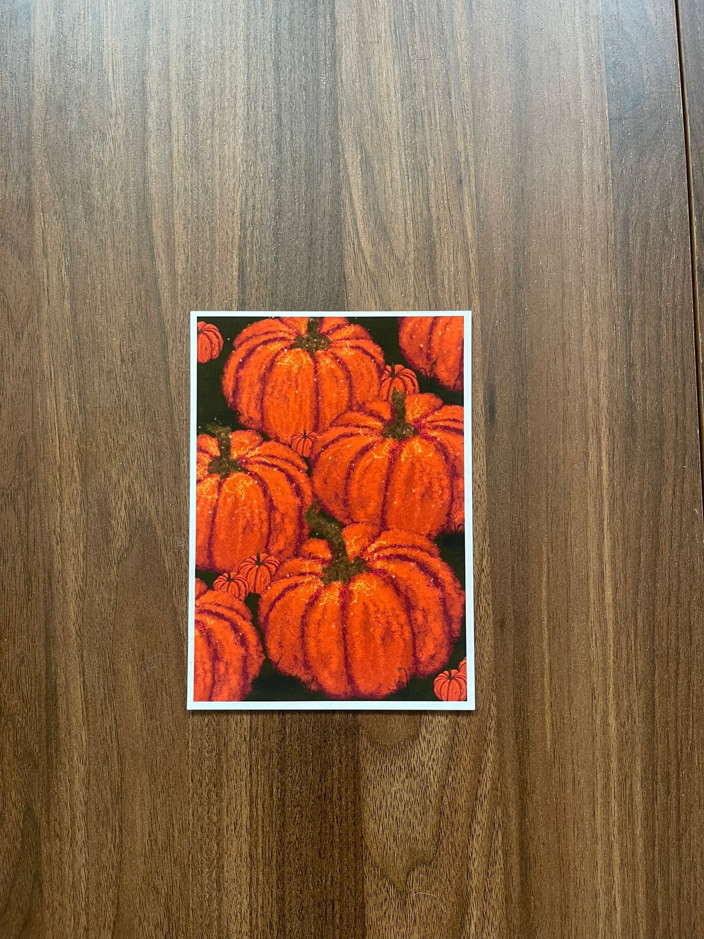 'Pumpkin Patch' 10/2025