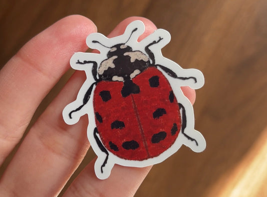 Ladybird Glossy Vinyl Sticker