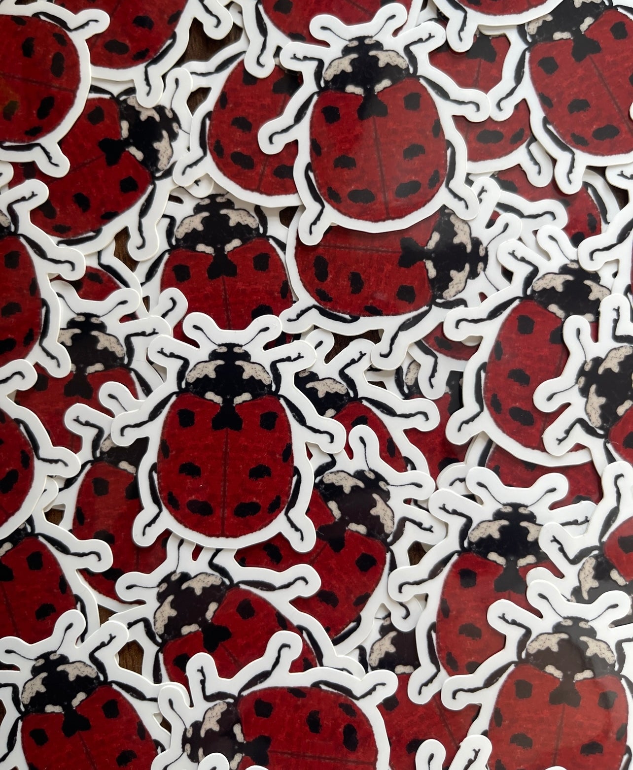 Ladybird Glossy Vinyl Sticker
