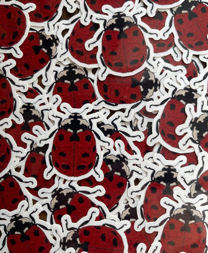 Ladybird Glossy Vinyl Sticker