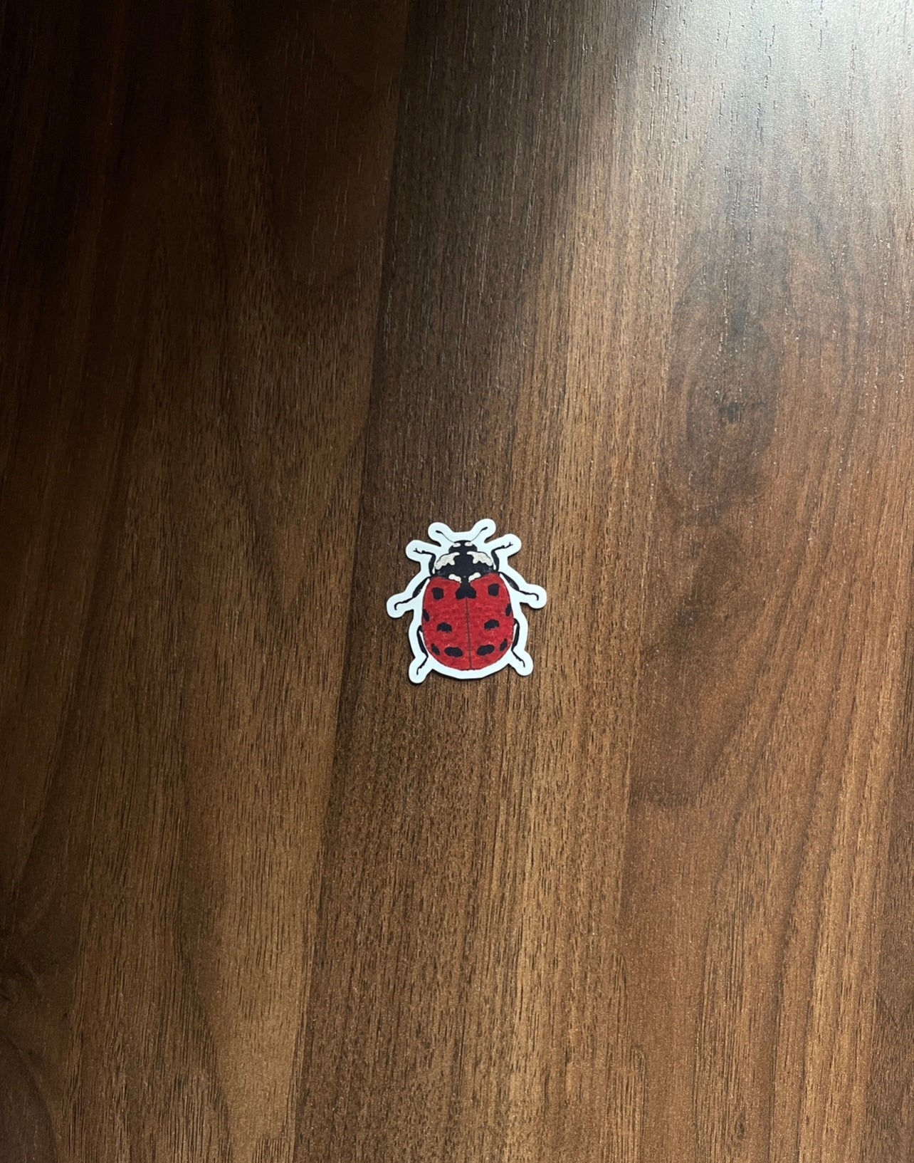 Ladybird Glossy Vinyl Sticker
